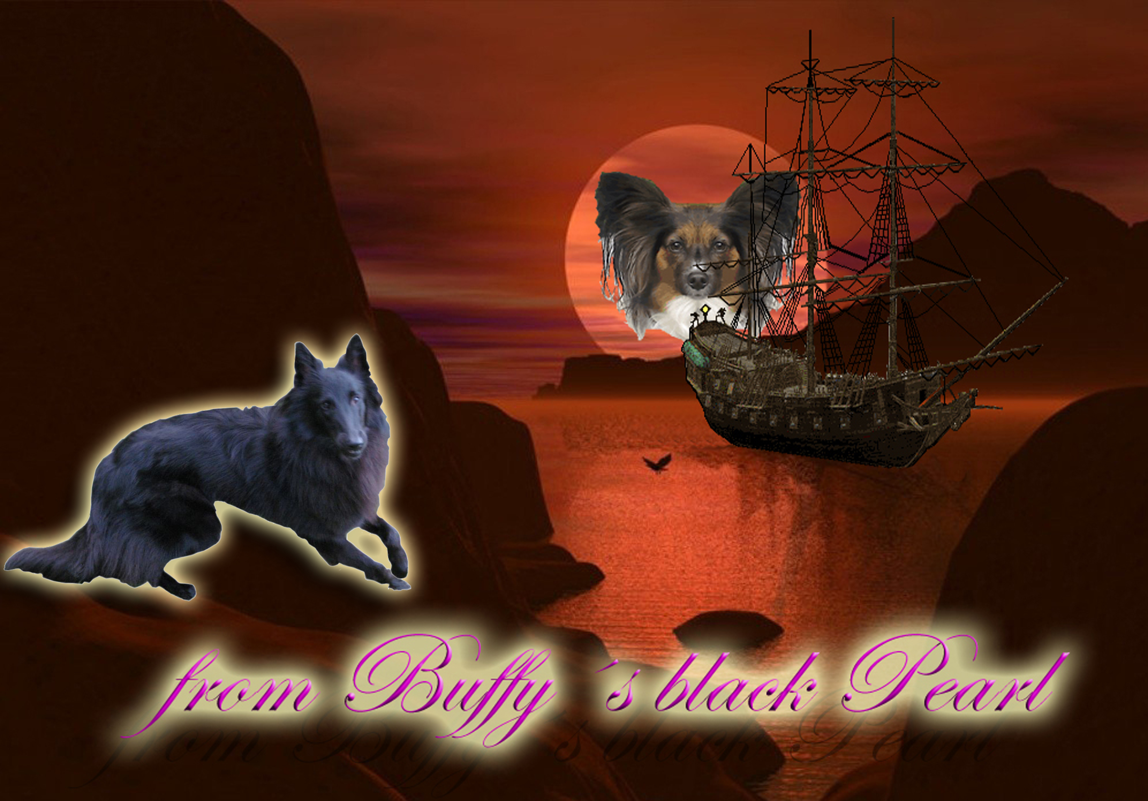 Banner from Buffy´s black Pearl mit Evolet Fahne