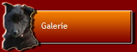 Galerie