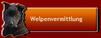 Welpenvermittlung 